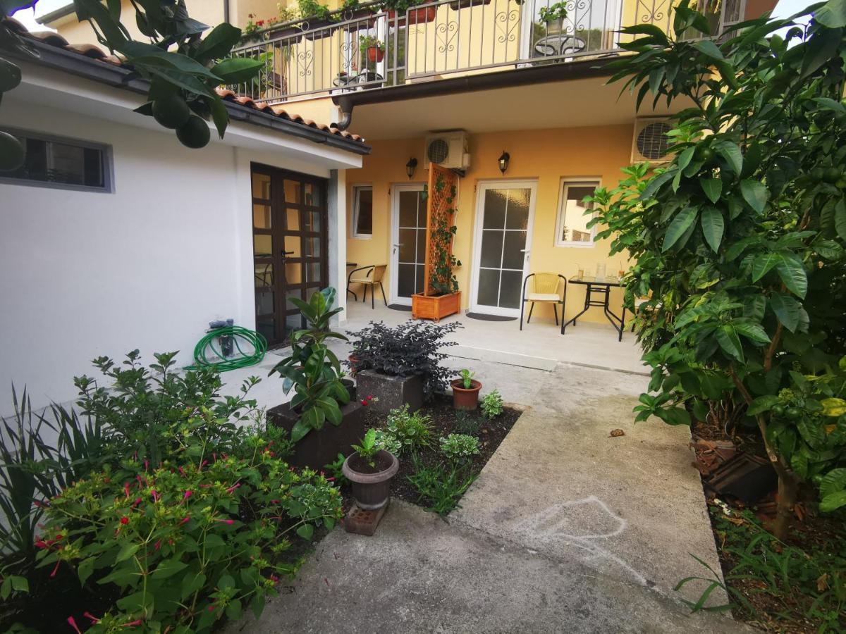 Radovic Apartments بودفا المظهر الخارجي الصورة